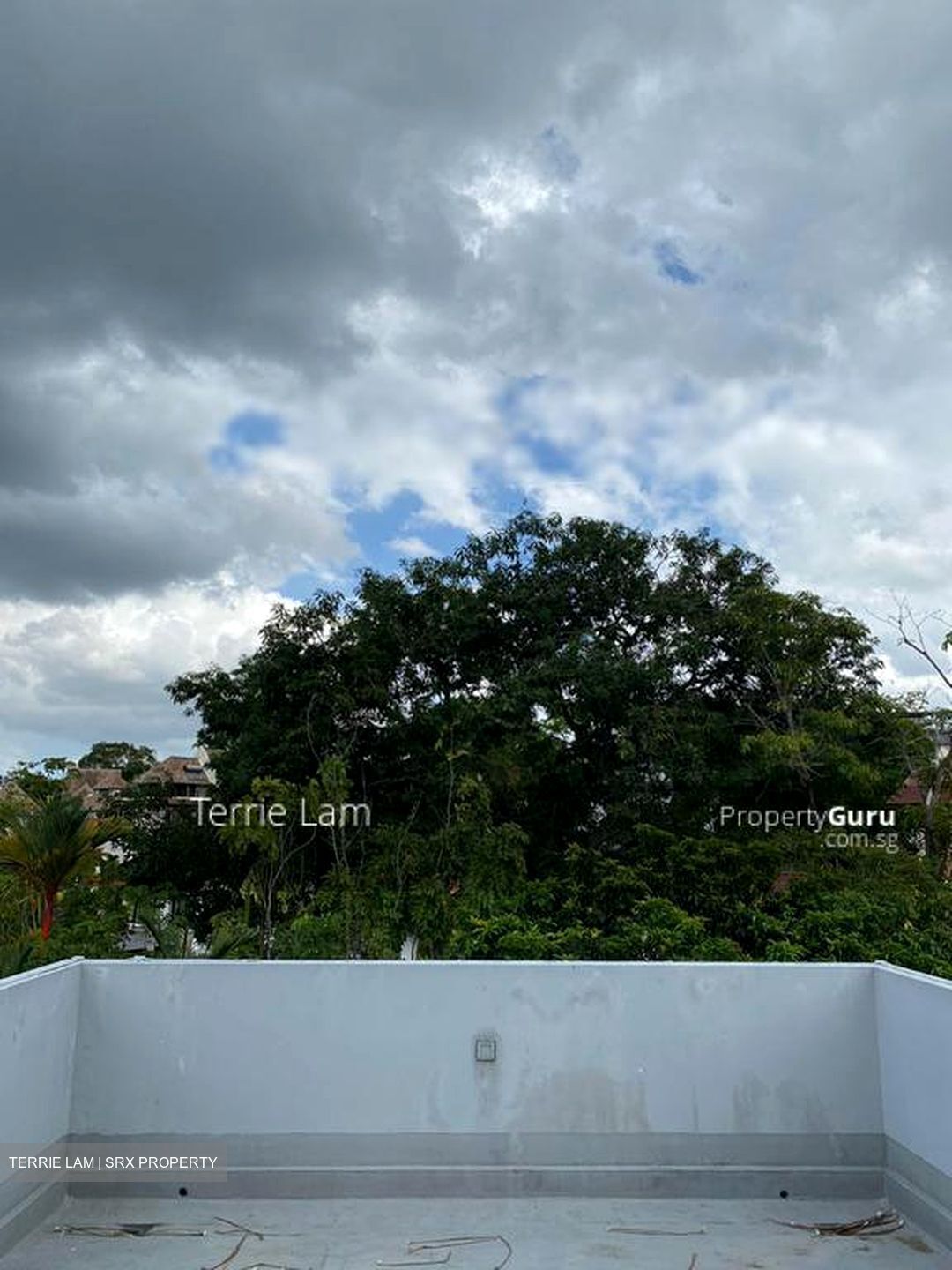Shamrock Park (D10), Semi-Detached #613600751